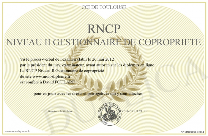 diplome rncp niveau 2